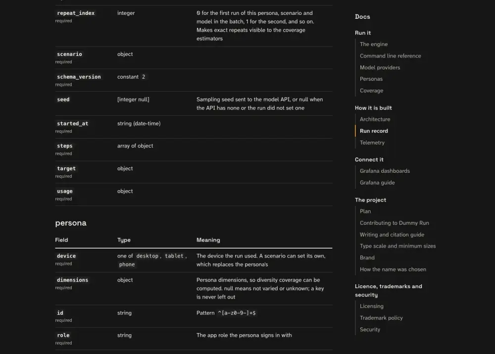 What the persona saw at step 11: the page titled Run record | Dummy Run, with the heading Run record.