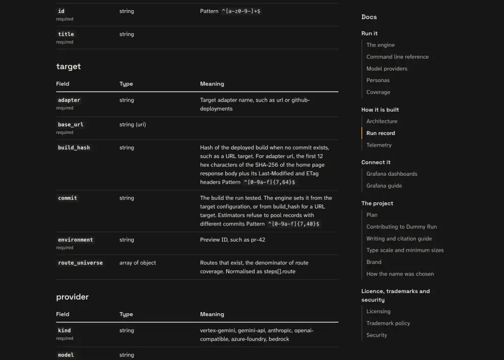 What the persona saw at step 13: the page titled Run record | Dummy Run, with the heading Run record.