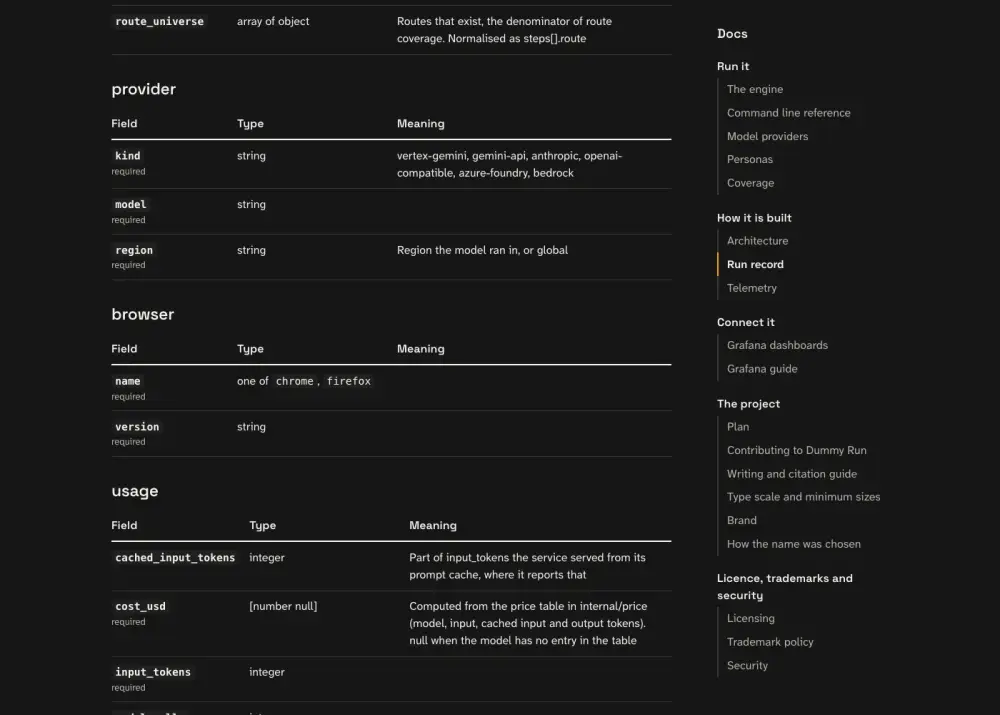 What the persona saw at step 14: the page titled Run record | Dummy Run, with the heading Run record.
