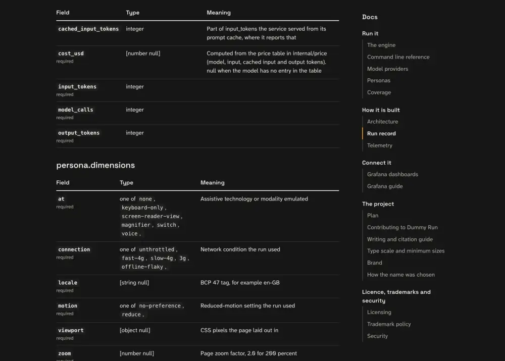 What the persona saw at step 15: the page titled Run record | Dummy Run, with the heading Run record.