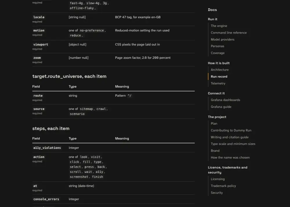 What the persona saw at step 16: the page titled Run record | Dummy Run, with the heading Run record.